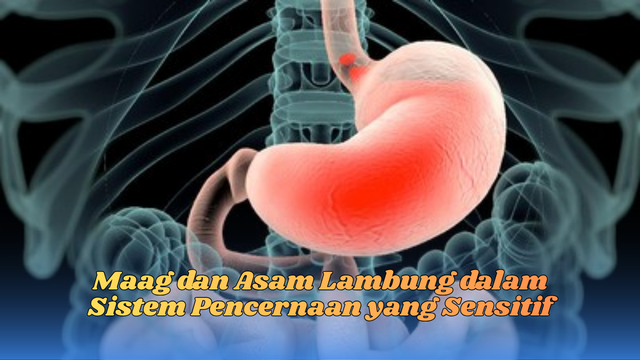 Maag Dan Asam Lambung